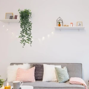 Planta Colgante Verde con Maceta