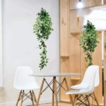 Planta Colgante Verde con Maceta - Imagen 3