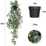Planta Colgante Verde con Maceta - Imagen 5