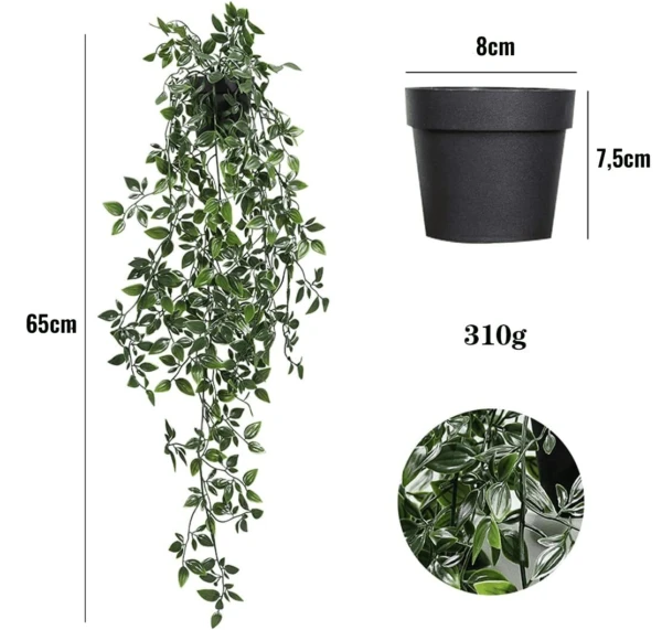 Planta Colgante Verde con Maceta - Imagen 5