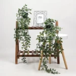 Planta Colgante Verde con Maceta - Imagen 7
