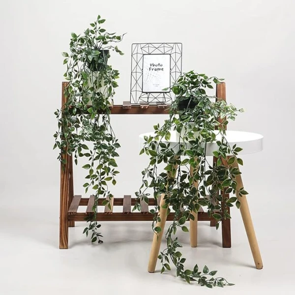 Planta Colgante Verde con Maceta - Imagen 7