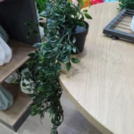 Planta Colgante Verde con Maceta - Imagen 8