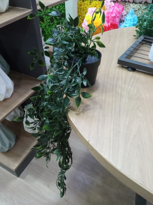 Planta Colgante Verde con Maceta - Imagen 8