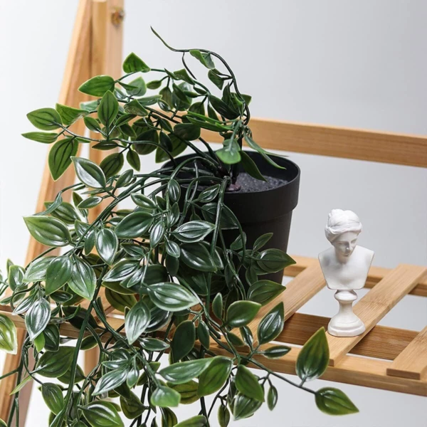 Planta Colgante Verde con Maceta - Imagen 9