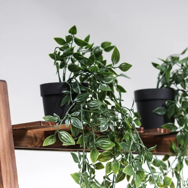 Planta Colgante Verde con Maceta - Imagen 11