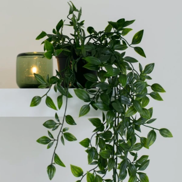 Planta Colgante Verde con Maceta - Imagen 10