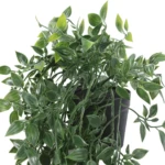 Planta Colgante Verde con Maceta - Imagen 12
