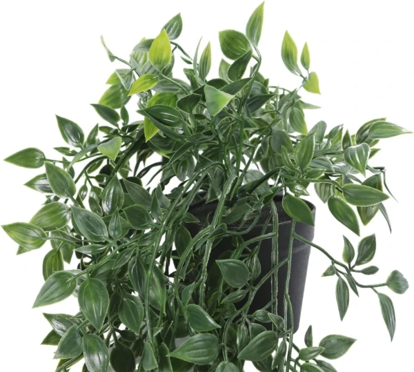 Planta Colgante Verde con Maceta - Imagen 12
