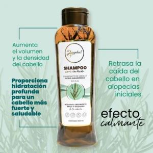 Anyeluz Shampoo con Romero: volumen, anticaída y efecto calmante para tu cabello.