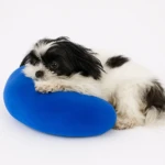 Shih Tzu duerme en almohada azul para mascotas, cómodo y suave.