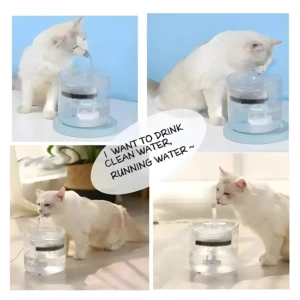 Bebedero automático para mascotas: gato blanco bebe agua fresca y corriente.