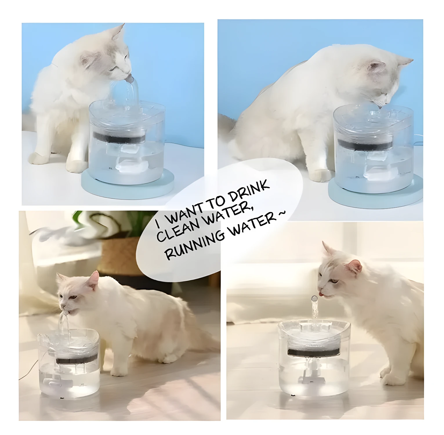 Bebedero automático para mascotas: gato blanco bebe agua fresca y corriente.