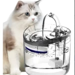 Gato blanco mira un bebedero automático para mascotas con agua circulando.