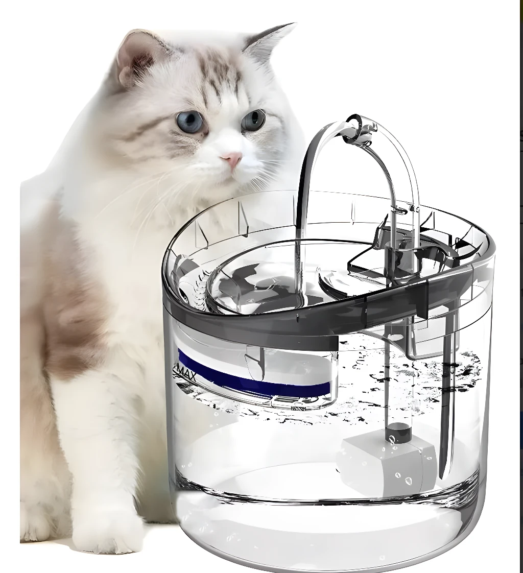 Gato blanco mira un bebedero automático para mascotas con agua circulando.