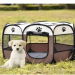 Cachorro blanco sentado junto a casa de juegos portátil para mascotas plegable en exterior.