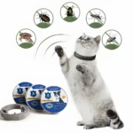 Gato con collar antipulgas, protegiéndolo de insectos y parásitos.