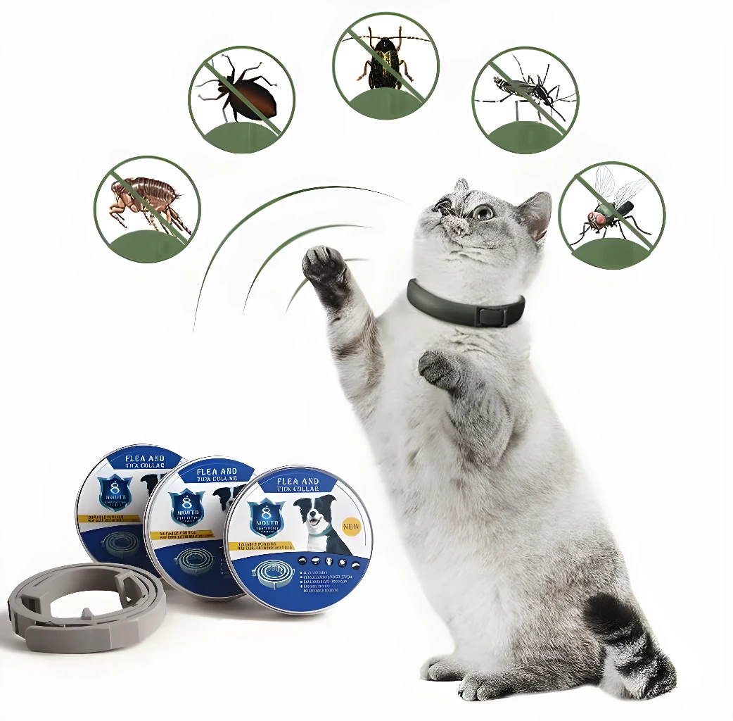 Gato con collar antipulgas, protegiéndolo de insectos y parásitos.
