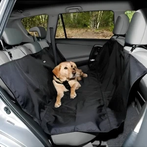 Labrador sobre forro protector para silla de carro en un día soleado.