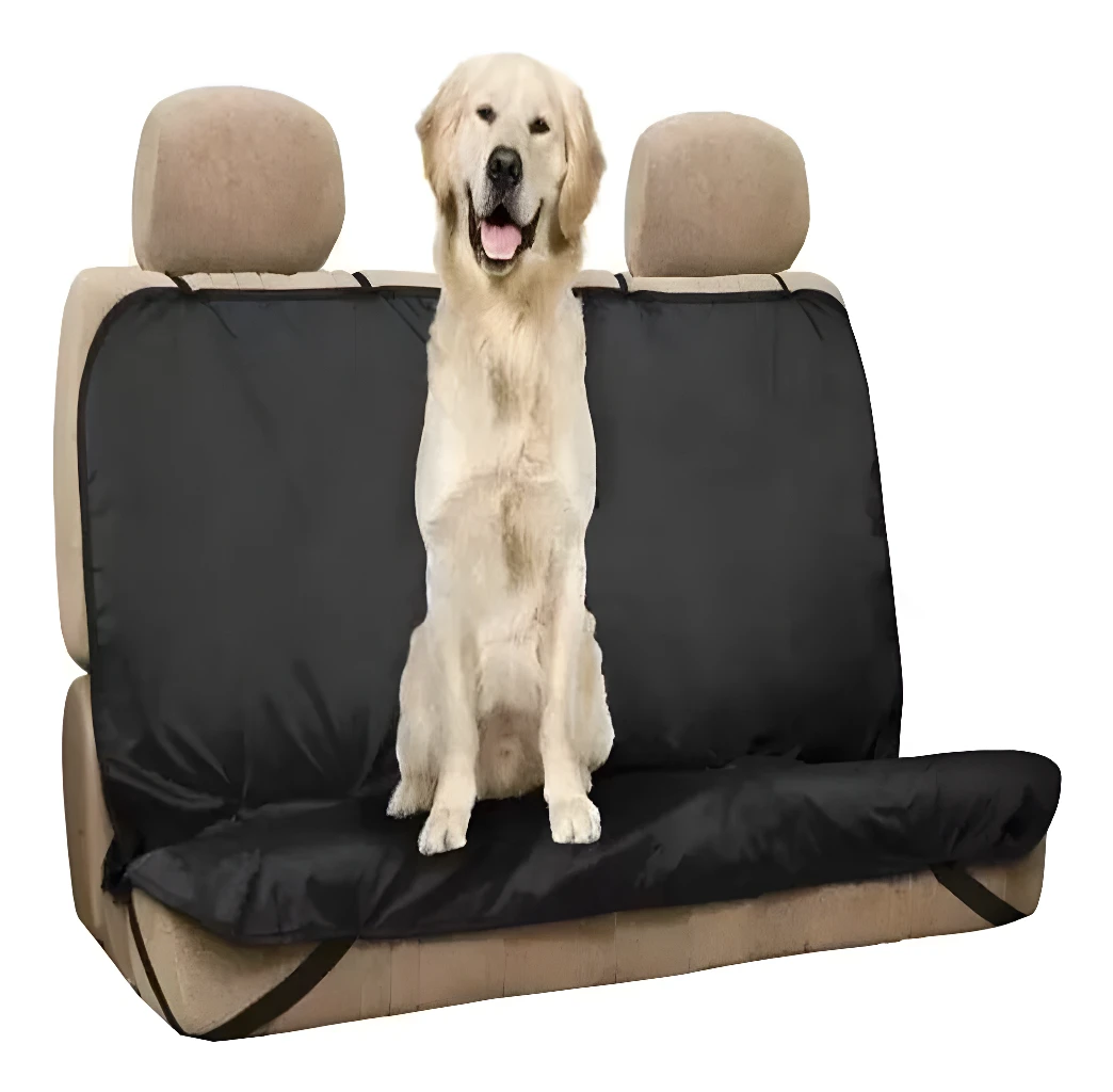 Perro golden retriever sentado en forro protector negro para silla de carro.