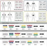 Soporte profesional para flexiones: rutinas y ejercicios de pecho, hombros, brazos y espalda.