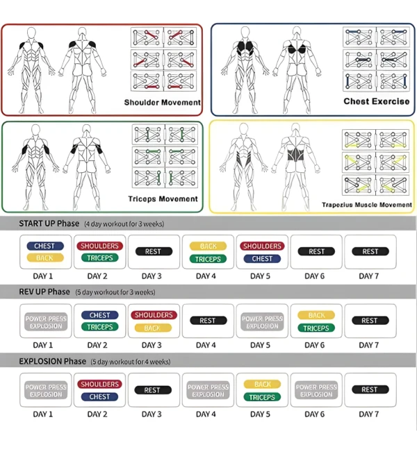 Soporte profesional para flexiones: rutinas y ejercicios de pecho, hombros, brazos y espalda.