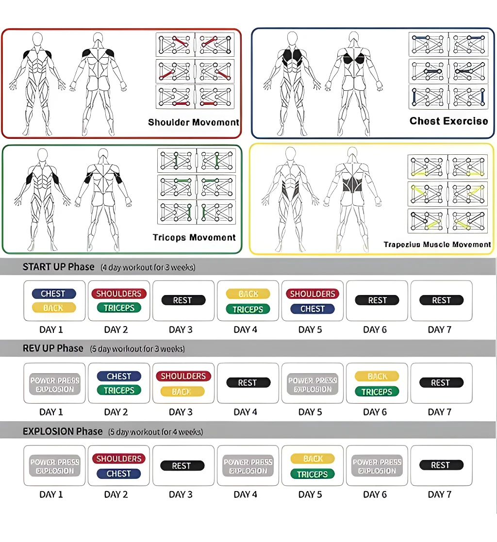 Soporte profesional para flexiones: rutinas y ejercicios de pecho, hombros, brazos y espalda.