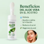 Espuma facial hidratante con aloe vera Kormesic, limpia y regenera la piel, 160ml.