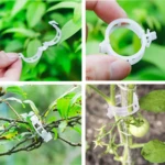 Clips plásticos blancos reutilizables para sujetar tallos de plantas, árboles y tomates a tutores.