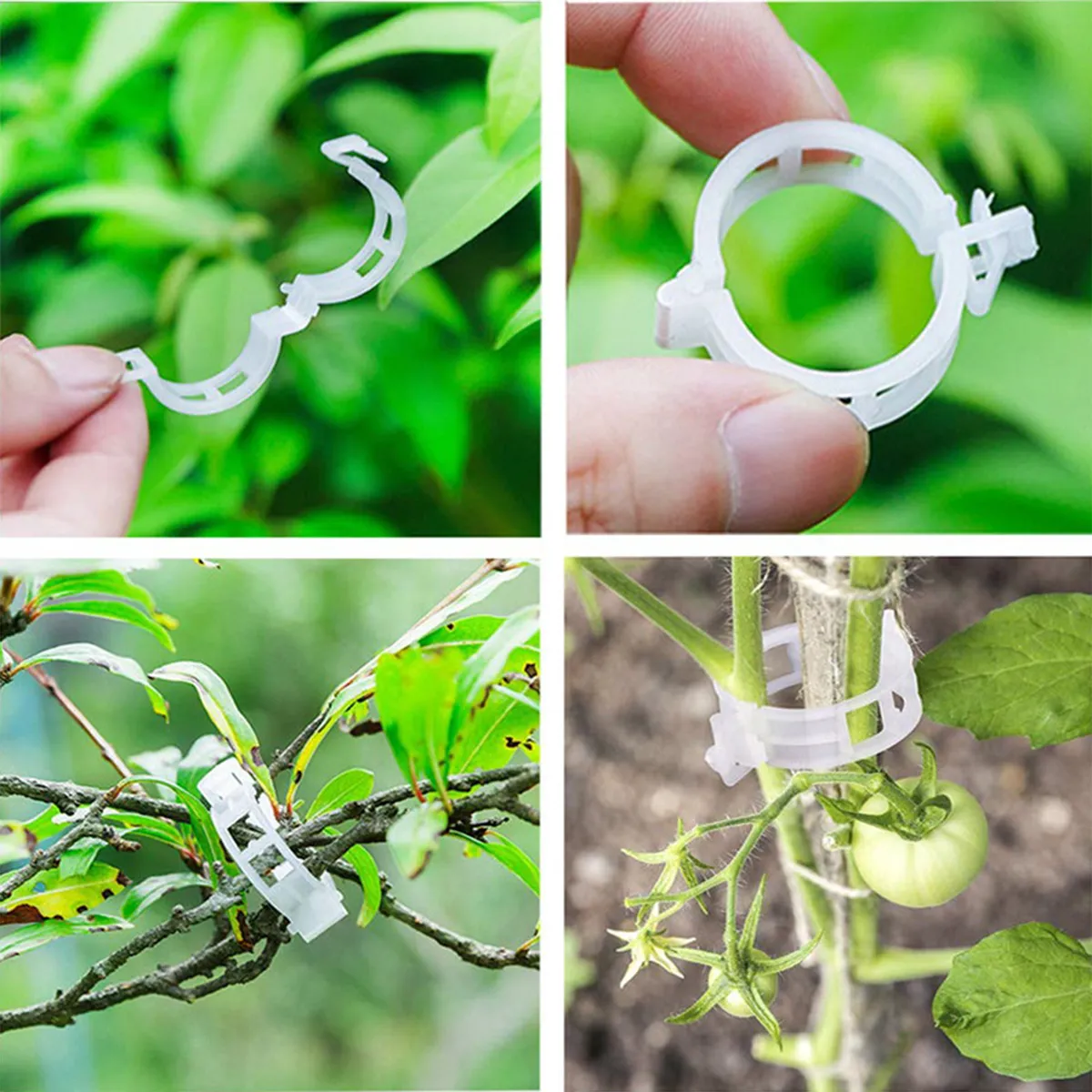 Clips plásticos blancos reutilizables para sujetar tallos de plantas, árboles y tomates a tutores.