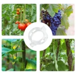 Clips sujetadores plásticos transparentes para tutores de tomates, uvas, pepinos y frijoles.