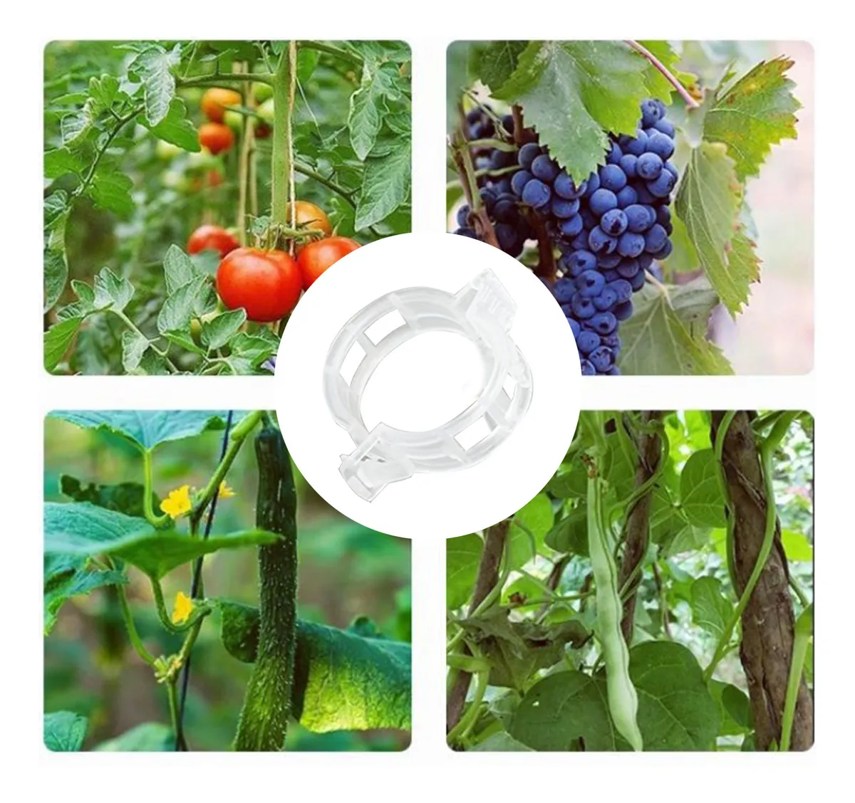 Clips sujetadores plásticos transparentes para tutores de tomates, uvas, pepinos y frijoles.