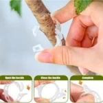 Mano cerrando clip plástico transparente para sujetar rama de árbol, tutorial paso a paso del cierre de hebilla.