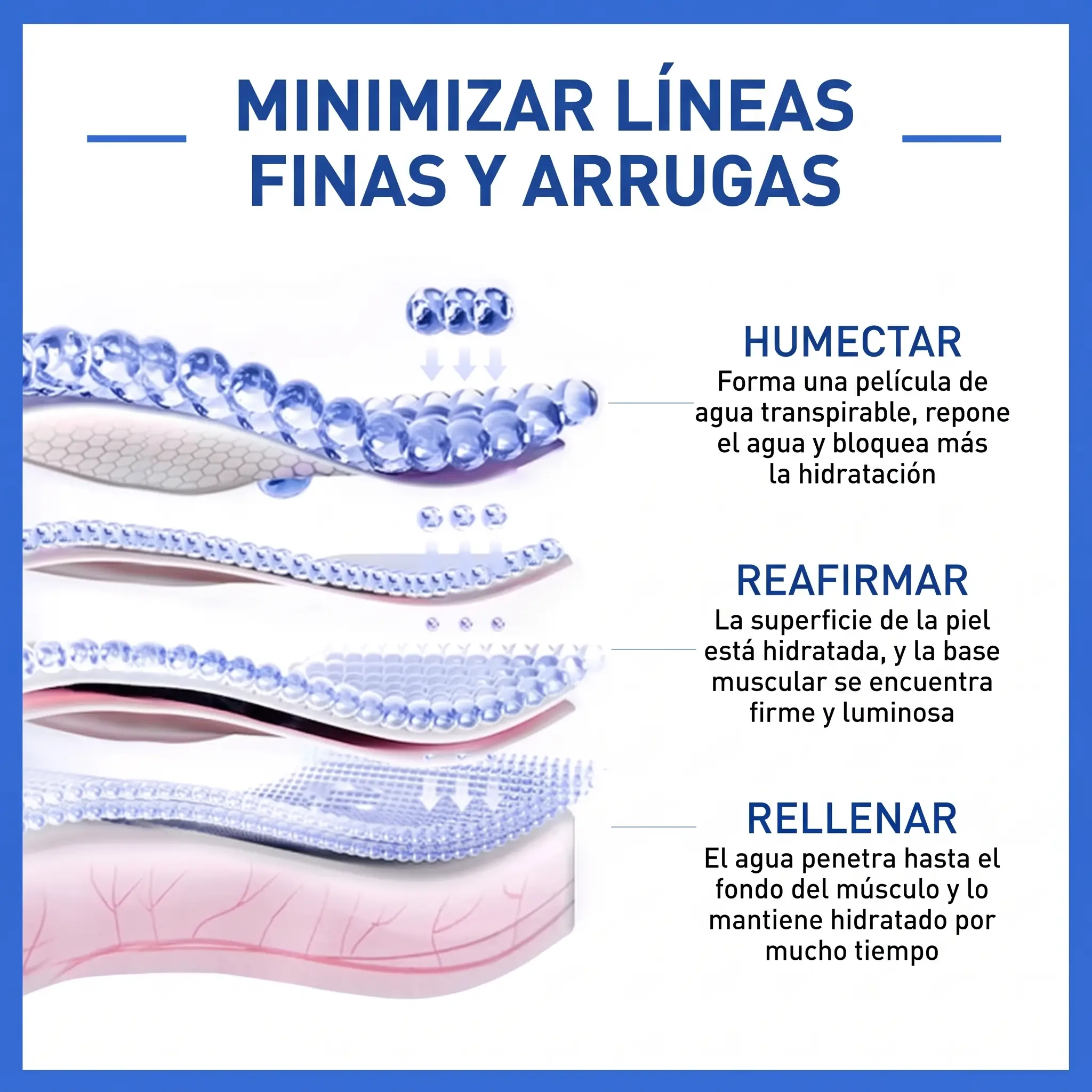 Diagrama de capas de la piel que muestra cómo el suero humecta, reafirma y rellena para minimizar líneas finas y arrugas.
