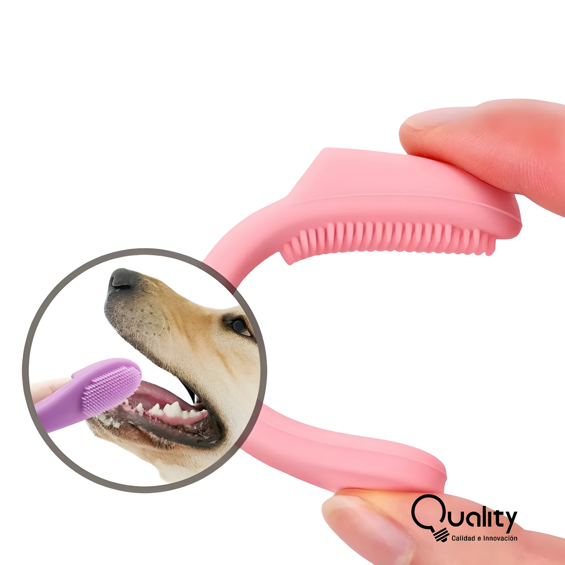 Cepillo de silicona rosa para limpieza dental de perros, con detalle ampliado de uso en hocico canino.