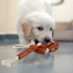 Cachorro golden retriever jugando con dos juguetes masticables marrones con forma de salchicha y cuerda.
