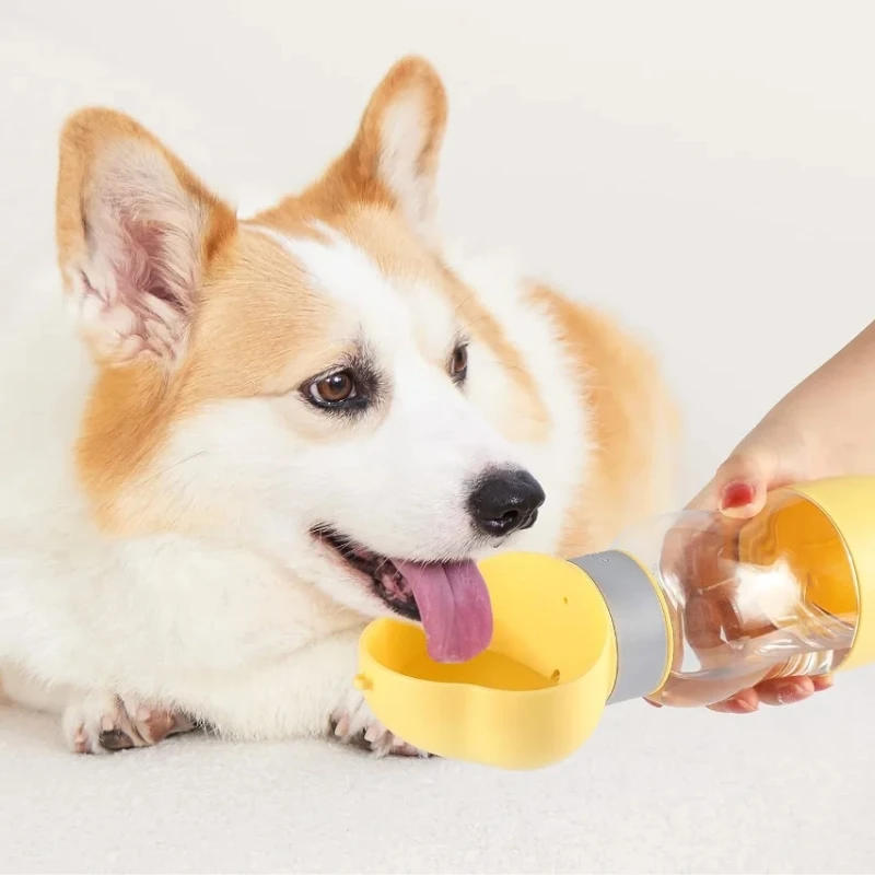 Perro Corgi bebiendo de un dispensador de agua portátil amarillo para mascotas.