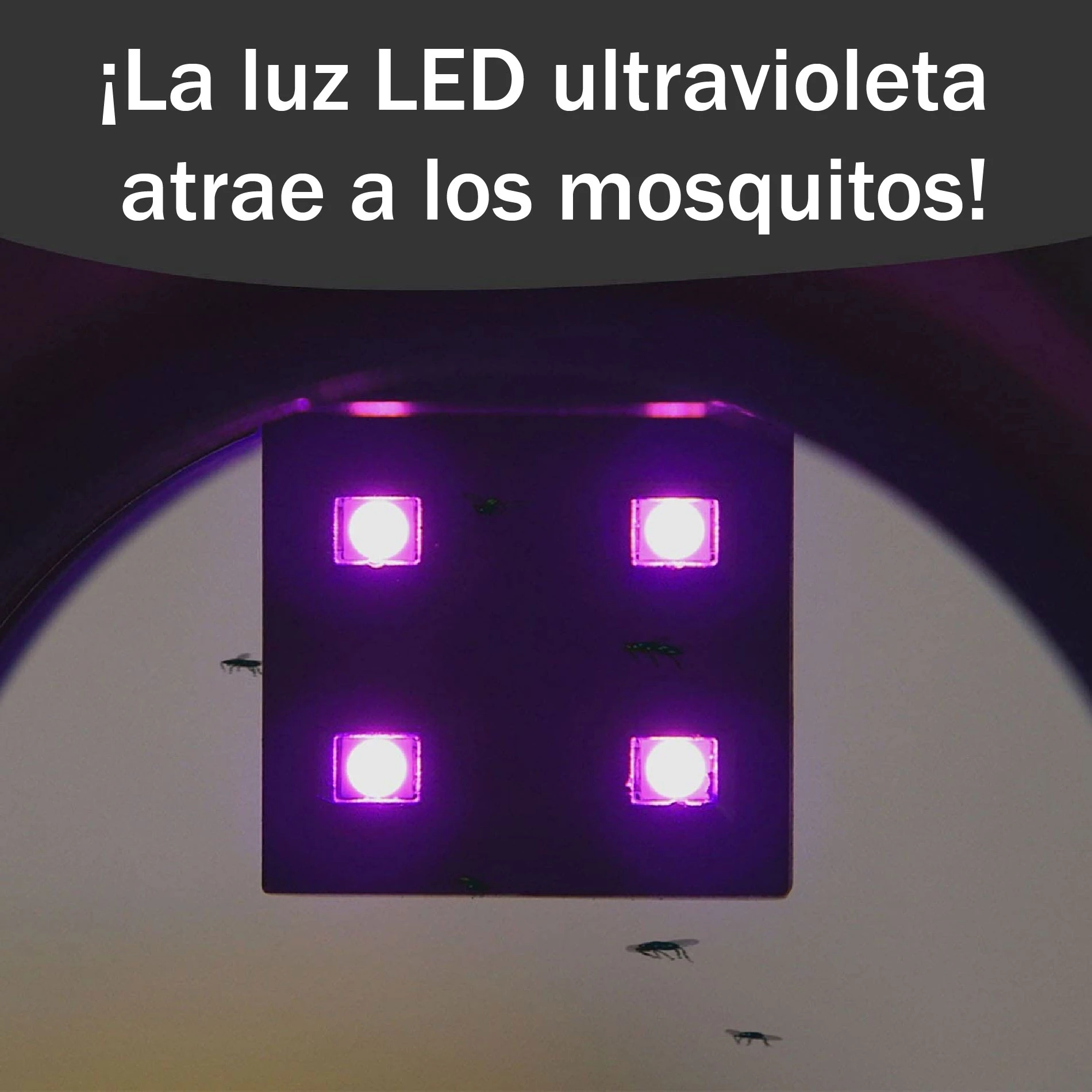 Lámpara mata mosquitos LED UV con cuatro luces violetas y zancudos pequeños alrededor.