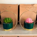 Suculentas artificiales verde y rosa en macetas verdes con marco dorado de corazón en cajas de cartón.