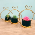 Set de 3 suculentas artificiales pequeñas en macetas verde oscuro con marcos dorados, sobre mesa de madera.