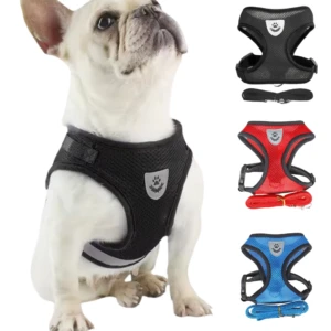 Arnés pechera chaleco para perro/gato negro con correa, se aprecian variantes roja y azul.