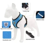 Arnés para perro azul en malla transpirable, con hebilla ajustable y detalles reflectantes.