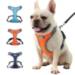 Arnés ajustable naranja para perros medianos y grandes, con correa negra y tres arneses de muestra en azul, naranja y azul marino.