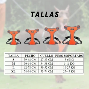 Arnés de entrenamiento para perros grandes y medianos, color naranja, con tabla de tallas S a XL y medidas de pecho y cuello en centímetros.
