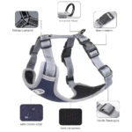 Arnés azul ajustable para perros, con reflejo llamativo y hebilla telescópica.