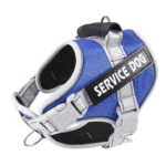 Arnés de control para perro Service Dog azul reflectante con manija y hebillas laterales.