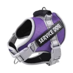 Arnés para perro Service Dog morado, reflectante, con asa y hebillas de ajuste.