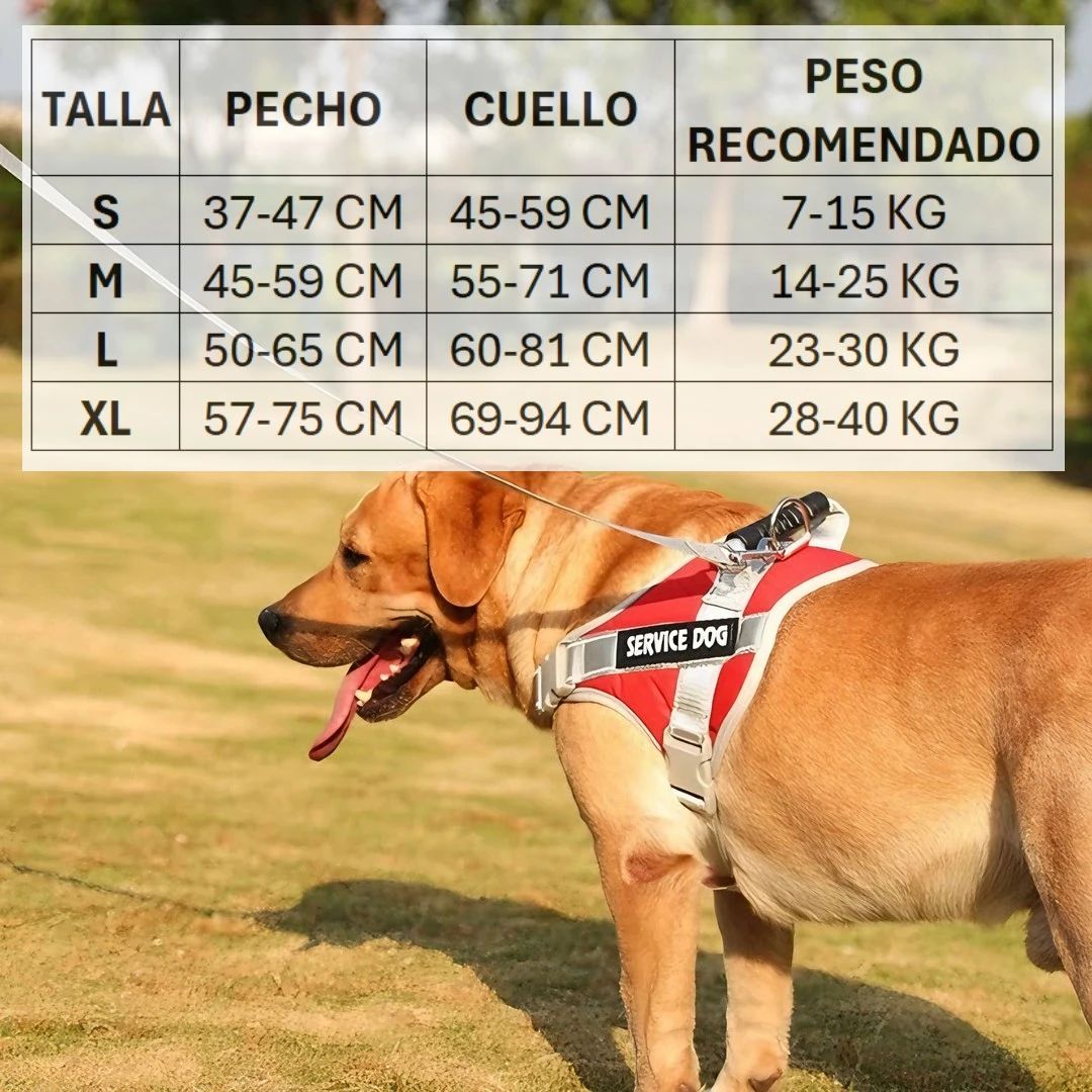 Arnés reflectante Service Dog para perros, talla L, rojo, con medidas de pecho 50-65 cm y cuello 60-81 cm.