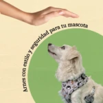 Arnés para Perro Estampado - Imagen 5