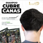 Shampoo cubre canas, fórmula natural sin amoniaco con extractos de oliva y noni, para cabello.